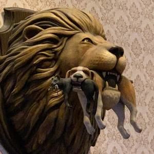 Meet your Posher, Josh